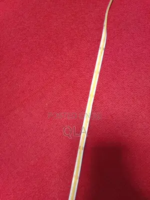 COB Striplight 10meters