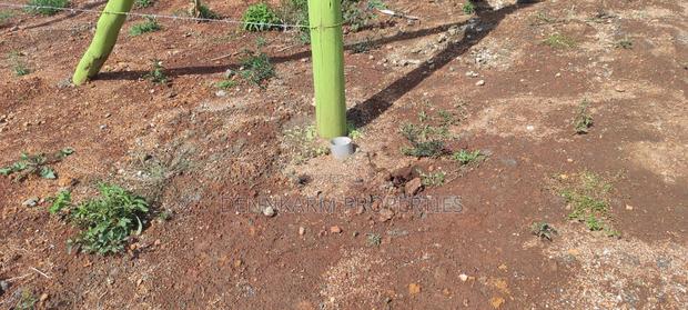 Quick Sale- Prime Plot In Gitutha, Kamangu, Kikuyu Area - thumbnail 4