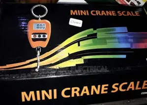 300kg Crane Scale