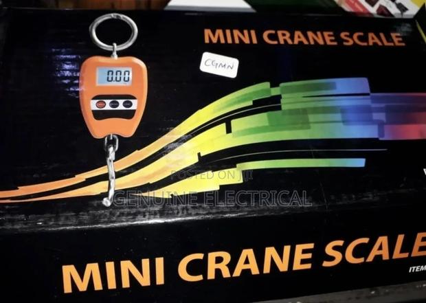 300kg Crane Scale