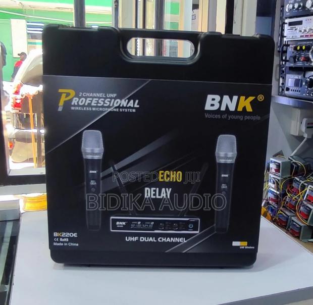 New Professional BNK Echo Delay - main view