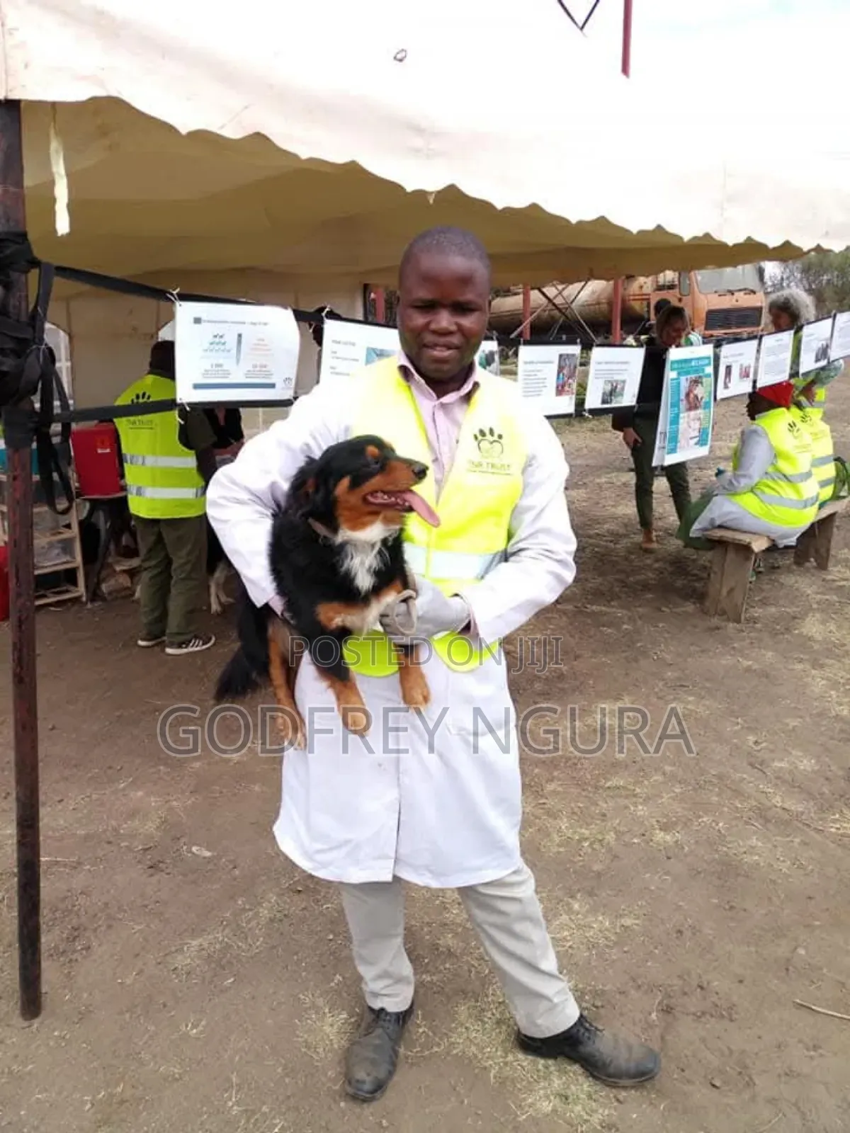 Dog and Cat Vaccination