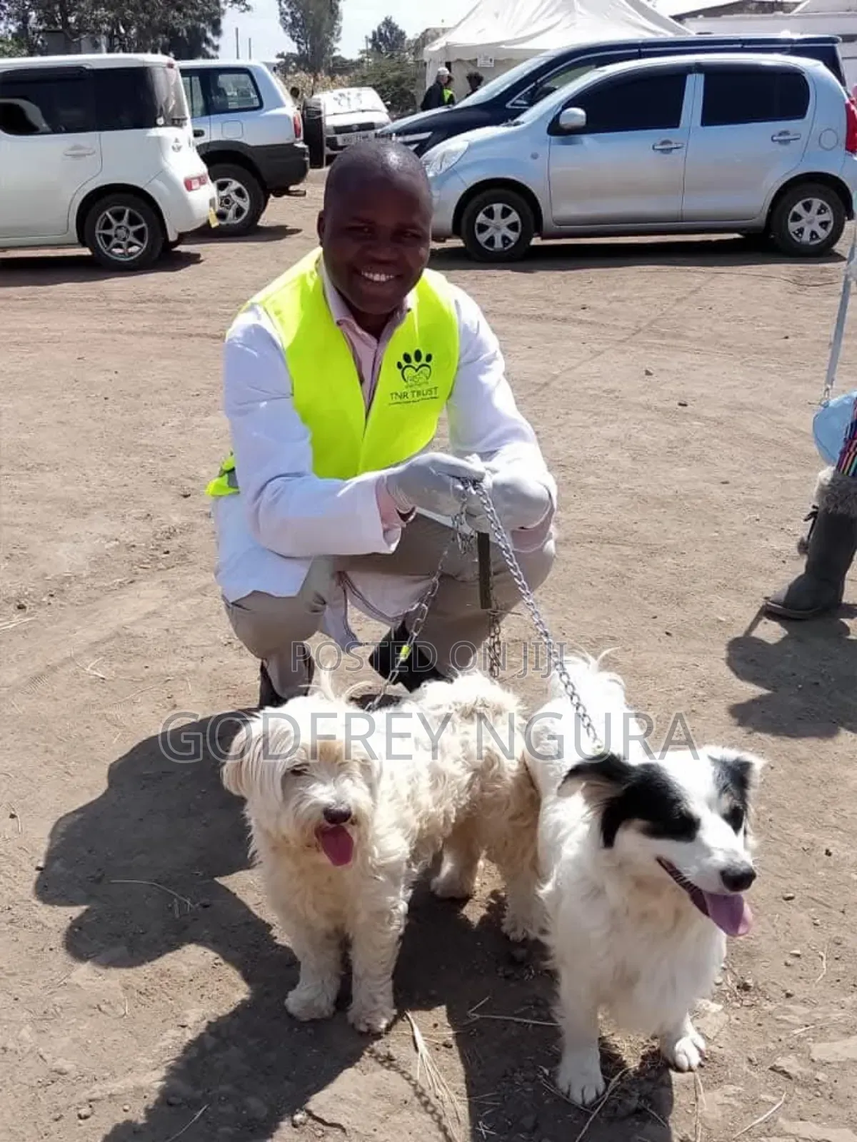 Dog and Cat Vaccination