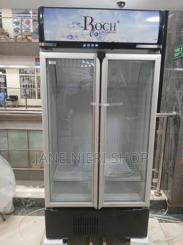 Roch 409 Liters Display Double Door Fridge