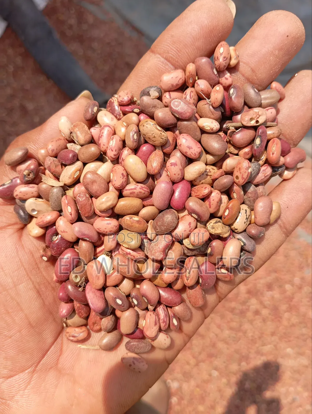 Mixed Variety of Beans