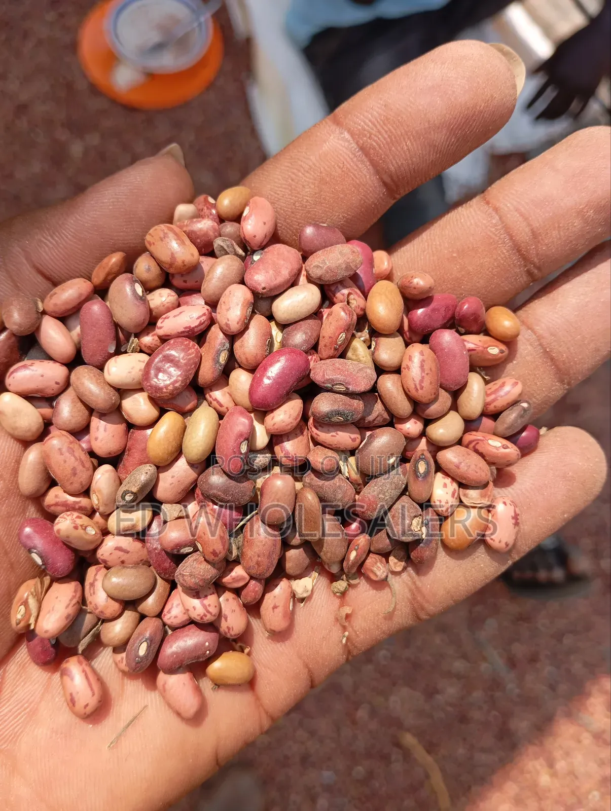Mixed Variety of Beans
