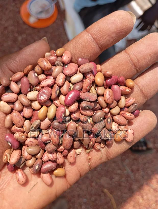 Mixed Variety of Beans - thumbnail 2
