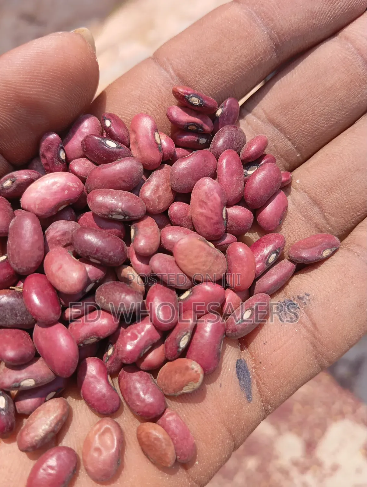 Wairimu Variety Beans