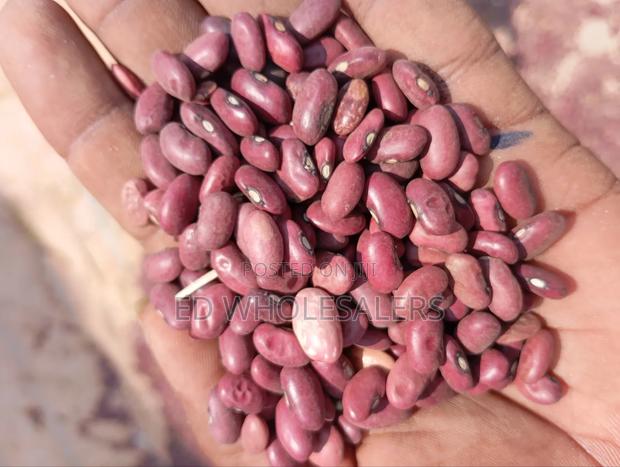 Wairimu Variety Beans - thumbnail 2