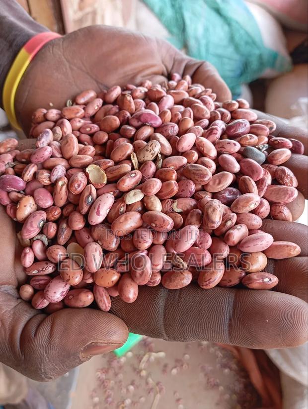 Rose Coco Beans