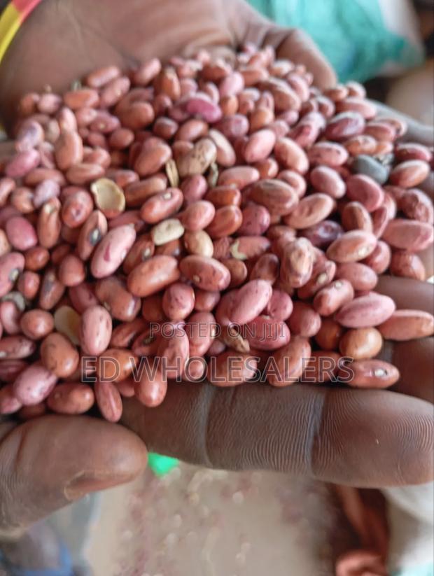 Rose Coco Beans - thumbnail 2