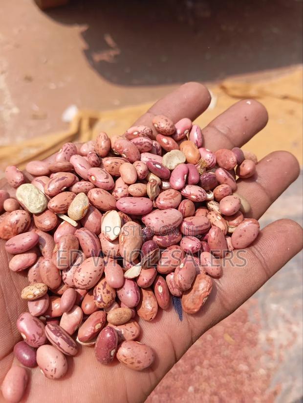 Rose Coco Beans - main view