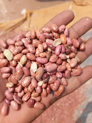 Rose Coco Beans