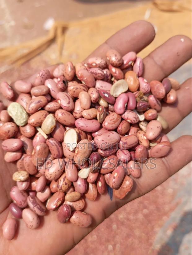 Rose Coco Beans - thumbnail 2