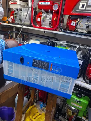 Incubator 128 Eggs Ac/Dc Automatic