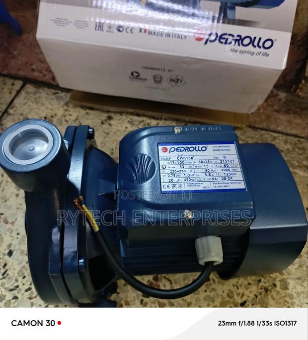 Pedrollo Pump, 1hp - main view