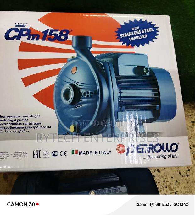 Pedrollo Pump, 1hp - thumbnail 2