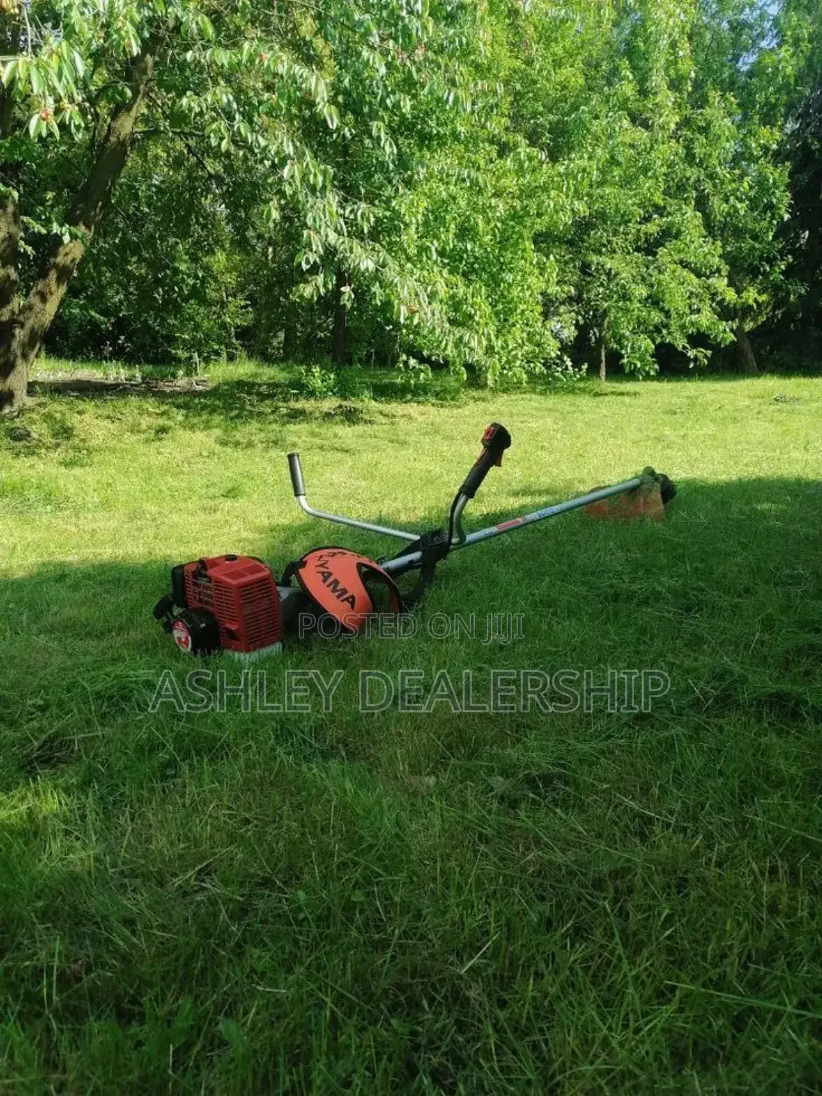 Hedge Trimmer