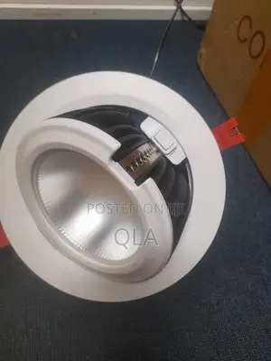Wallwasher Downlighter 50w
