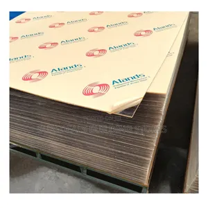 Clear Plastic Glass/Perspex Sheet(1.2mtrs by 2.4mtrs).