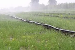 Irrigate Smarter With Rain Horse Solutions