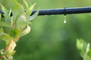 Precision Watering, Maximum Harvest – Try Rain Horse!