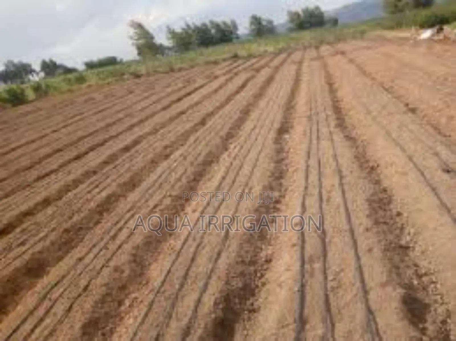 Save Water, Boost Yields – Rain Horse Delivers!