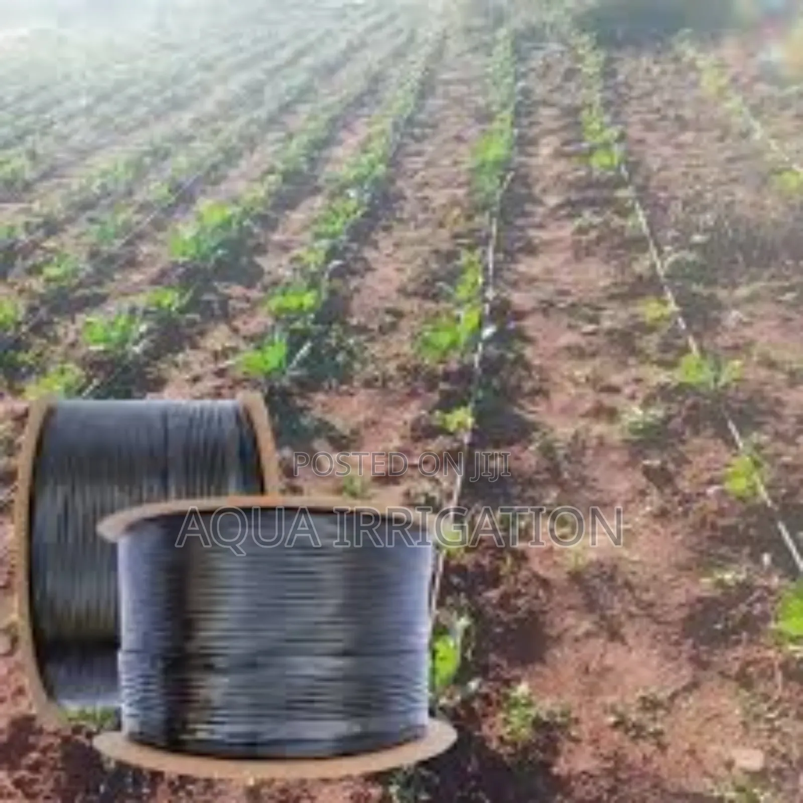 Rain Horse Drip Systems – Every Drop Counts