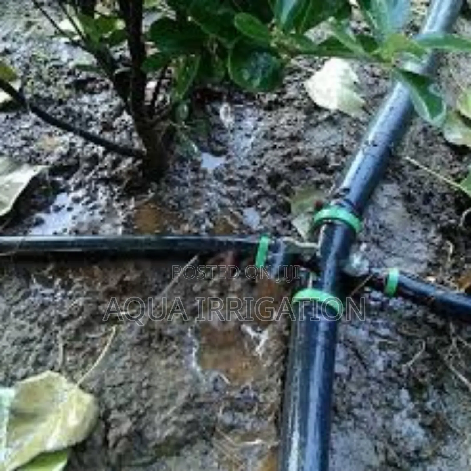 Rain Horse – The Future of Water-Efficient Farming!