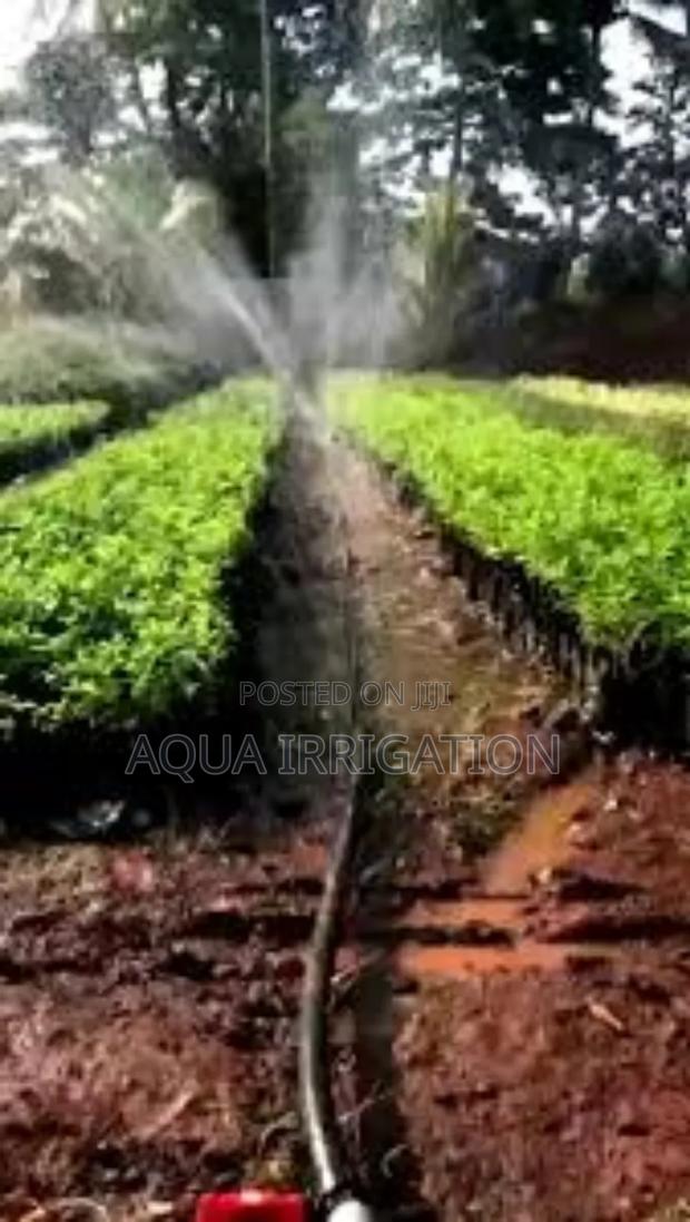 Better Crops, Less Water – Rain Horse Works! - main view