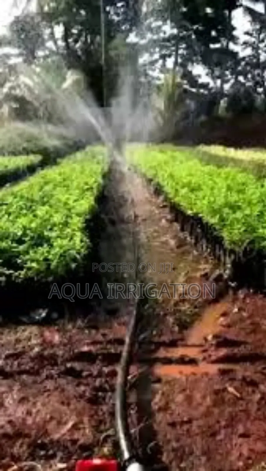 Better Crops, Less Water – Rain Horse Works!
