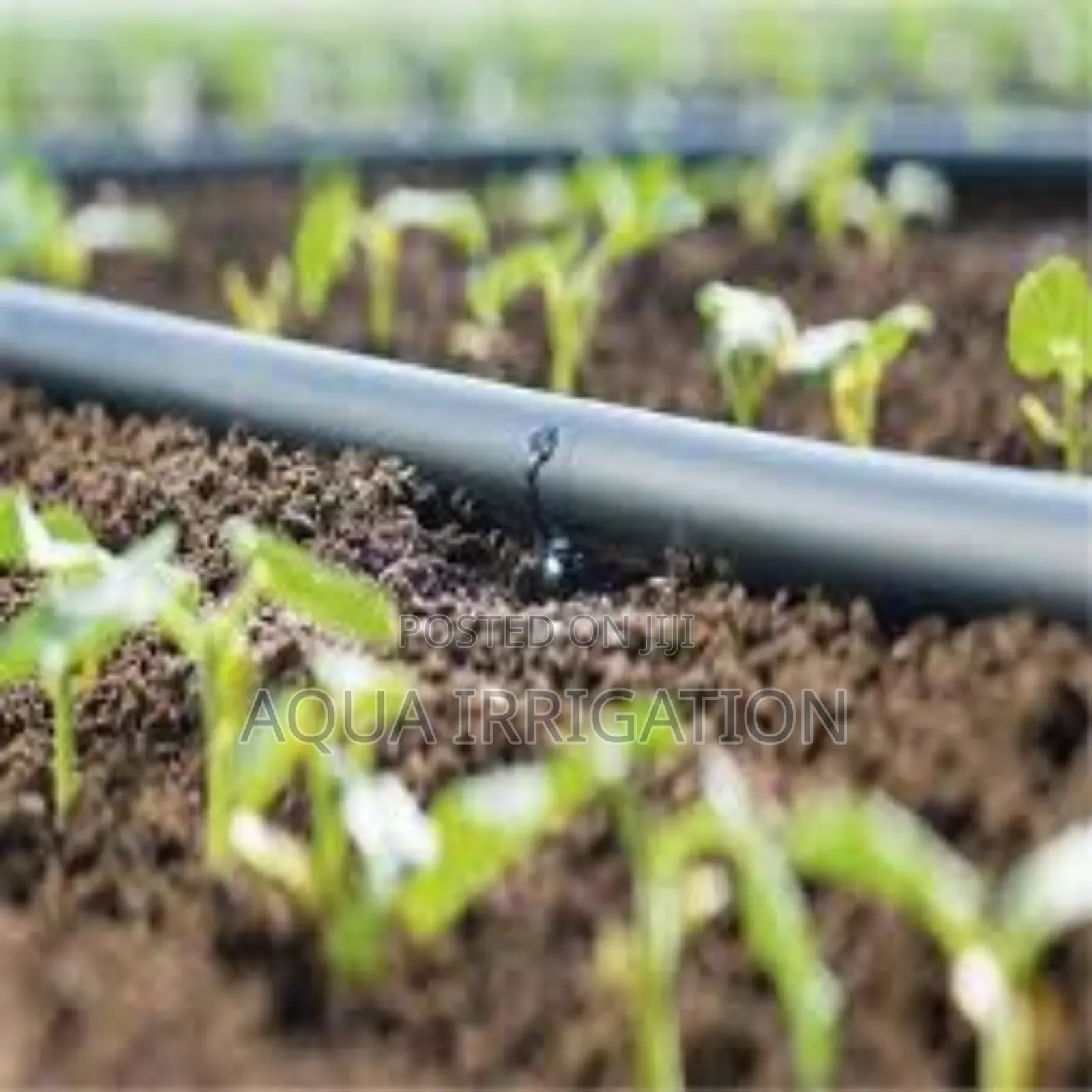 Harness Rain Horse Tech for a Greener Farm
