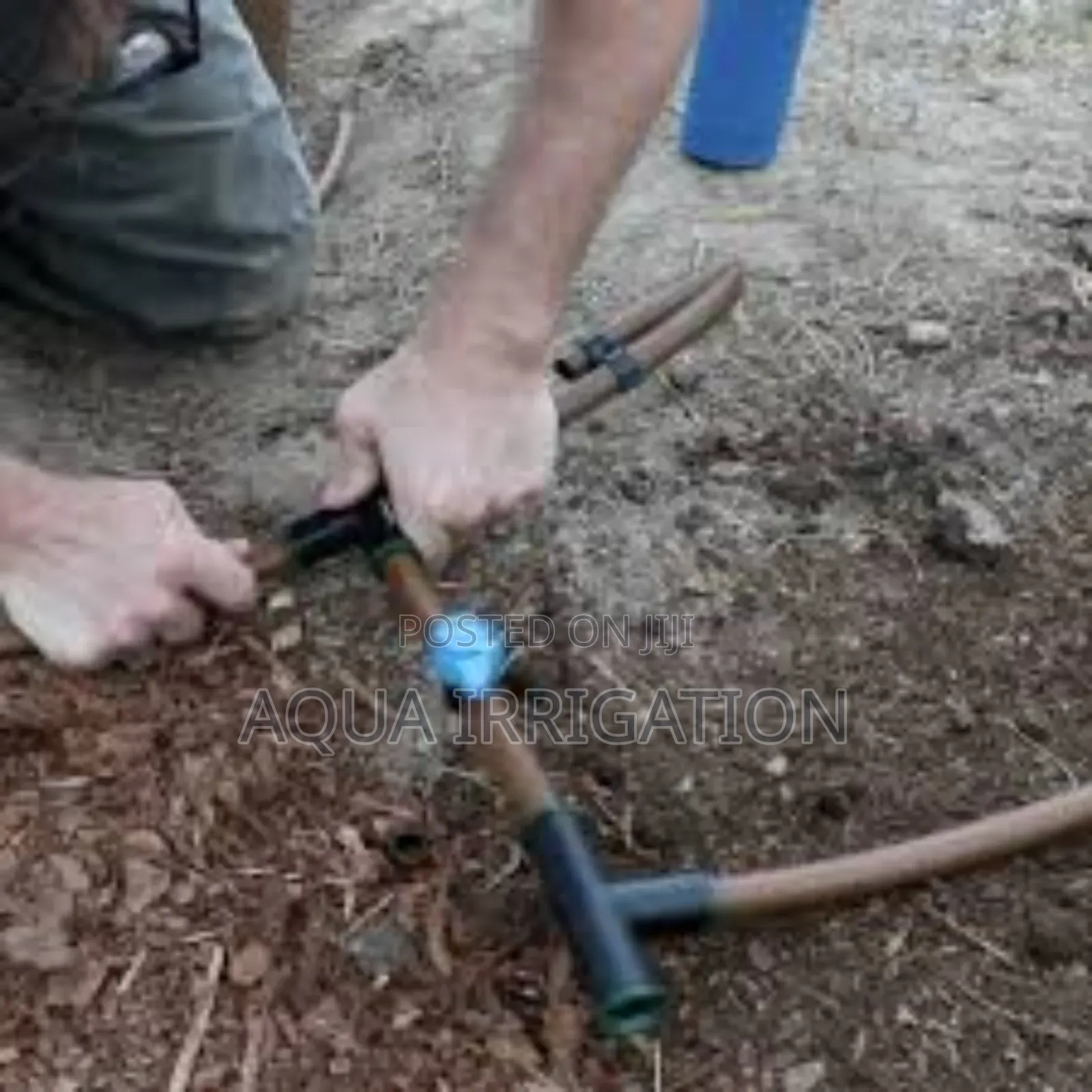 Boost Your Harvest With Rain Horse Drip Systems