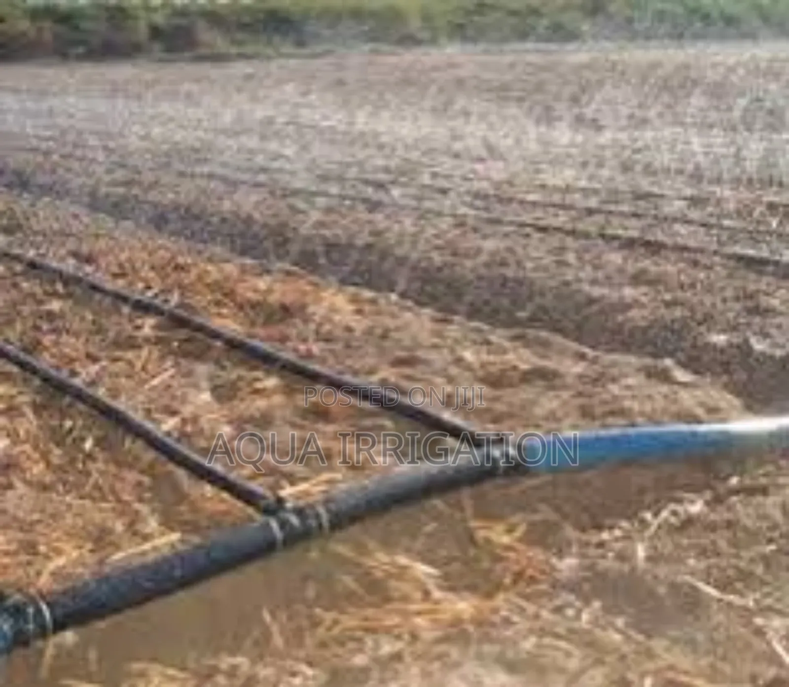 Rain Horse Saves Water, Increases Productivity