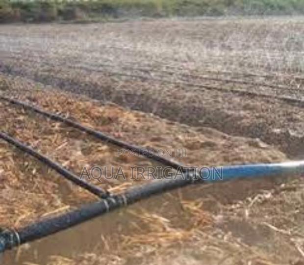 Rain Horse Saves Water, Increases Productivity