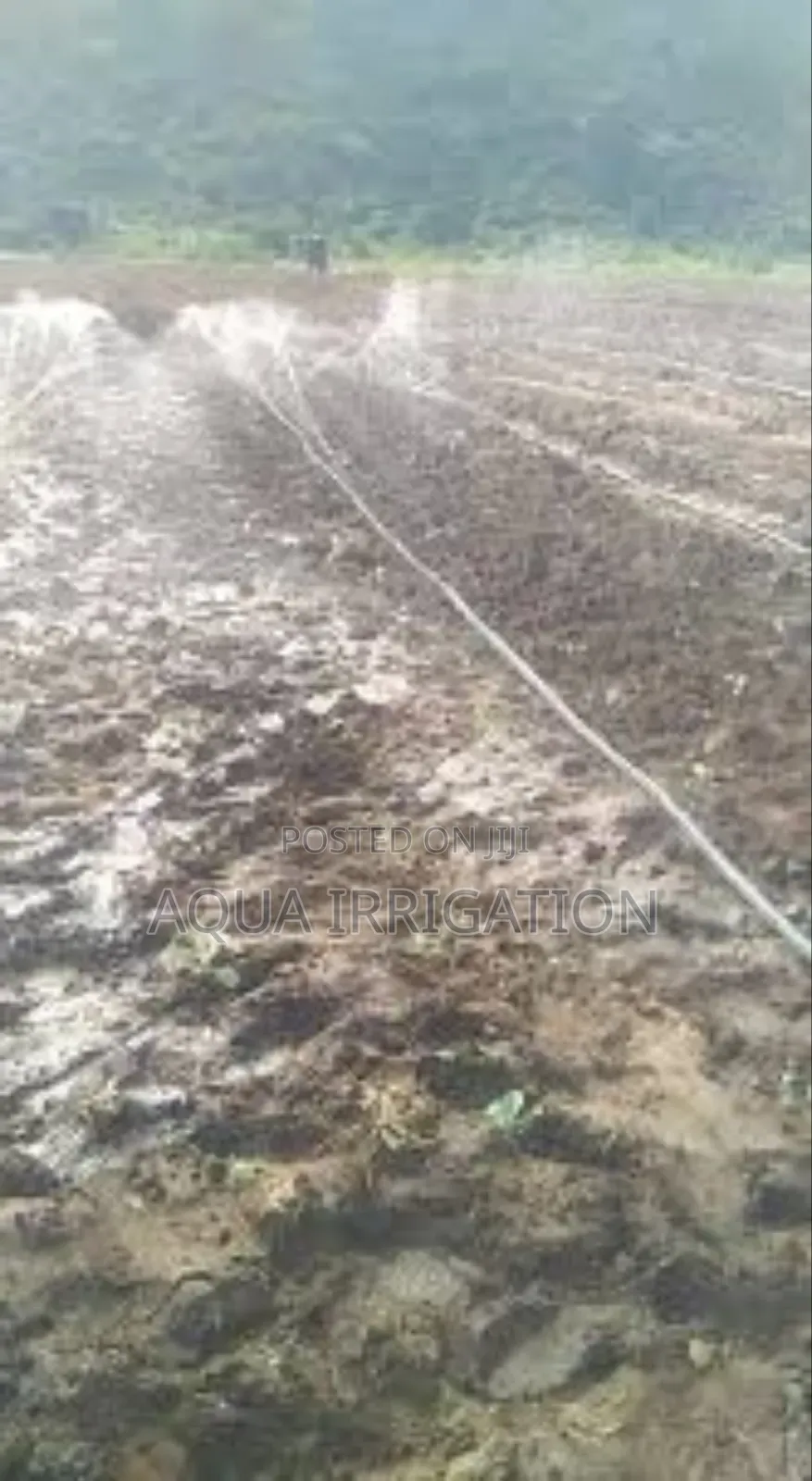 Keep Your Crops Thriving With Rain Horse!