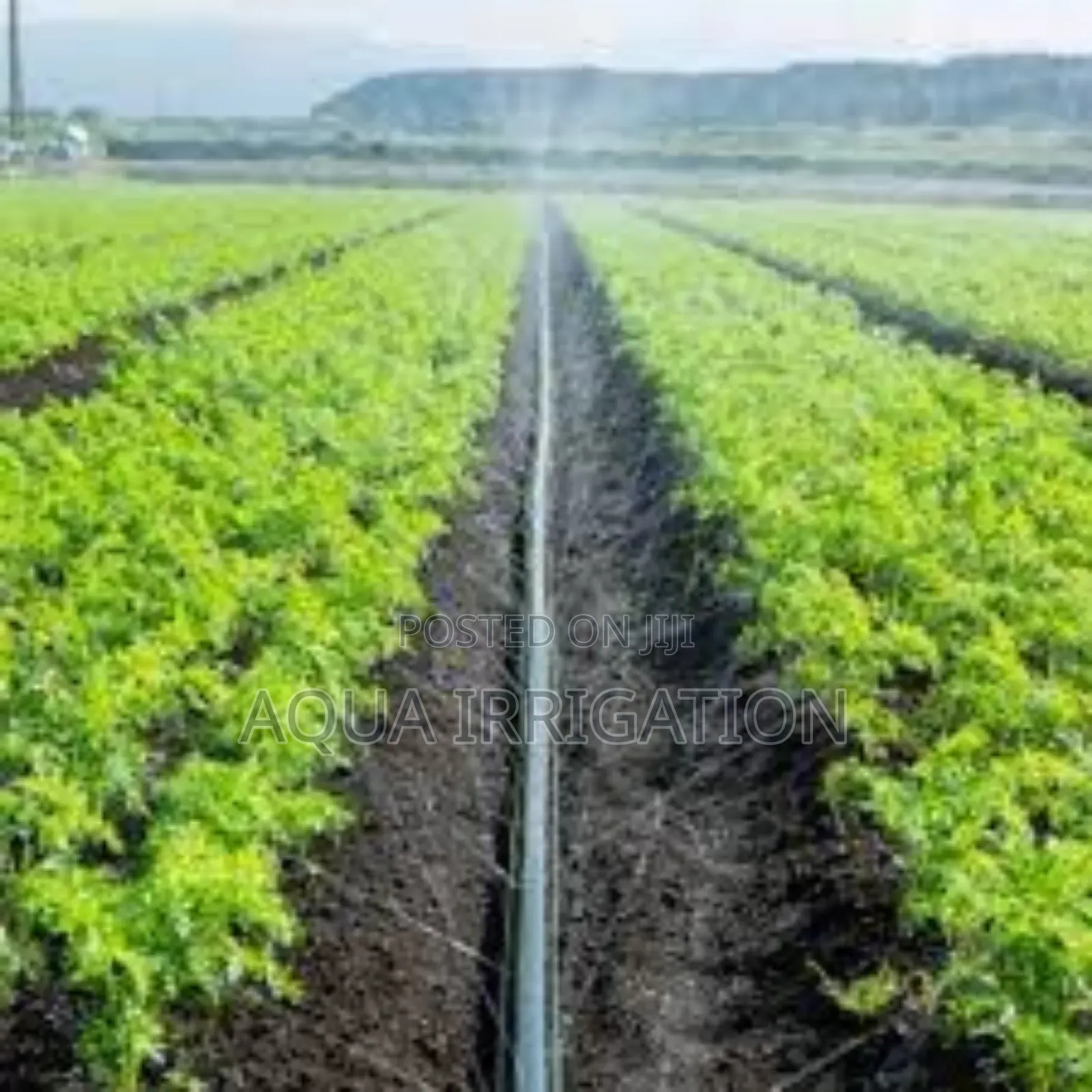 Reduce Waste, Increase Yield – Rain Horse Helps!