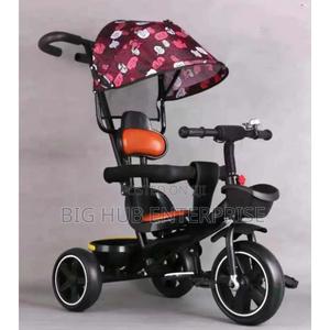 Push Tricycle With Canopy - main view