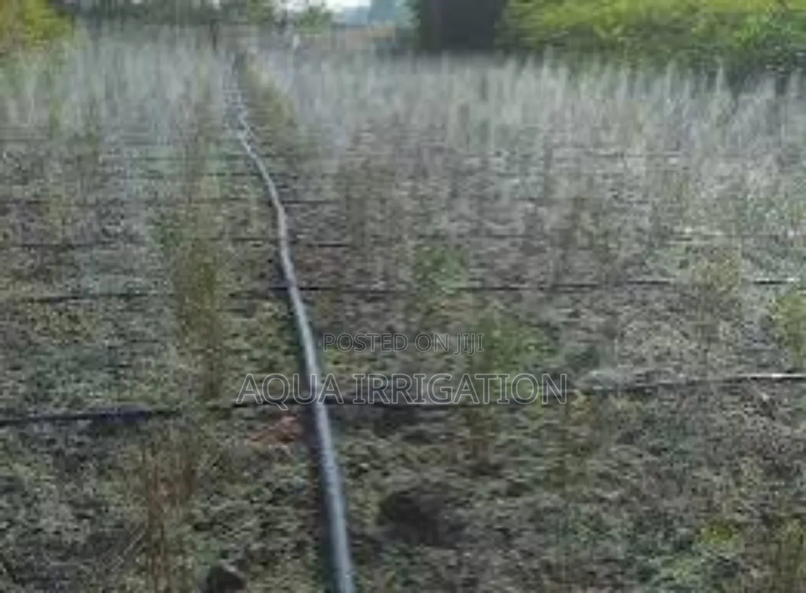 Optimize Water Use With Rain Horse Drip Systems!