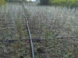 Optimize Water Use With Rain Horse Drip Systems! - thumbnail 2