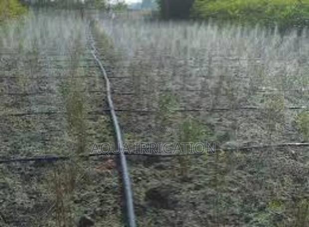 Optimize Water Use With Rain Horse Drip Systems! - main view