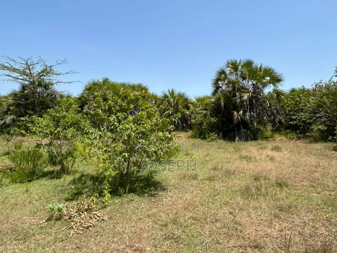 Diani 6.5acres