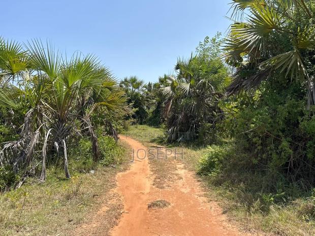 Diani 6.5acres - thumbnail 4