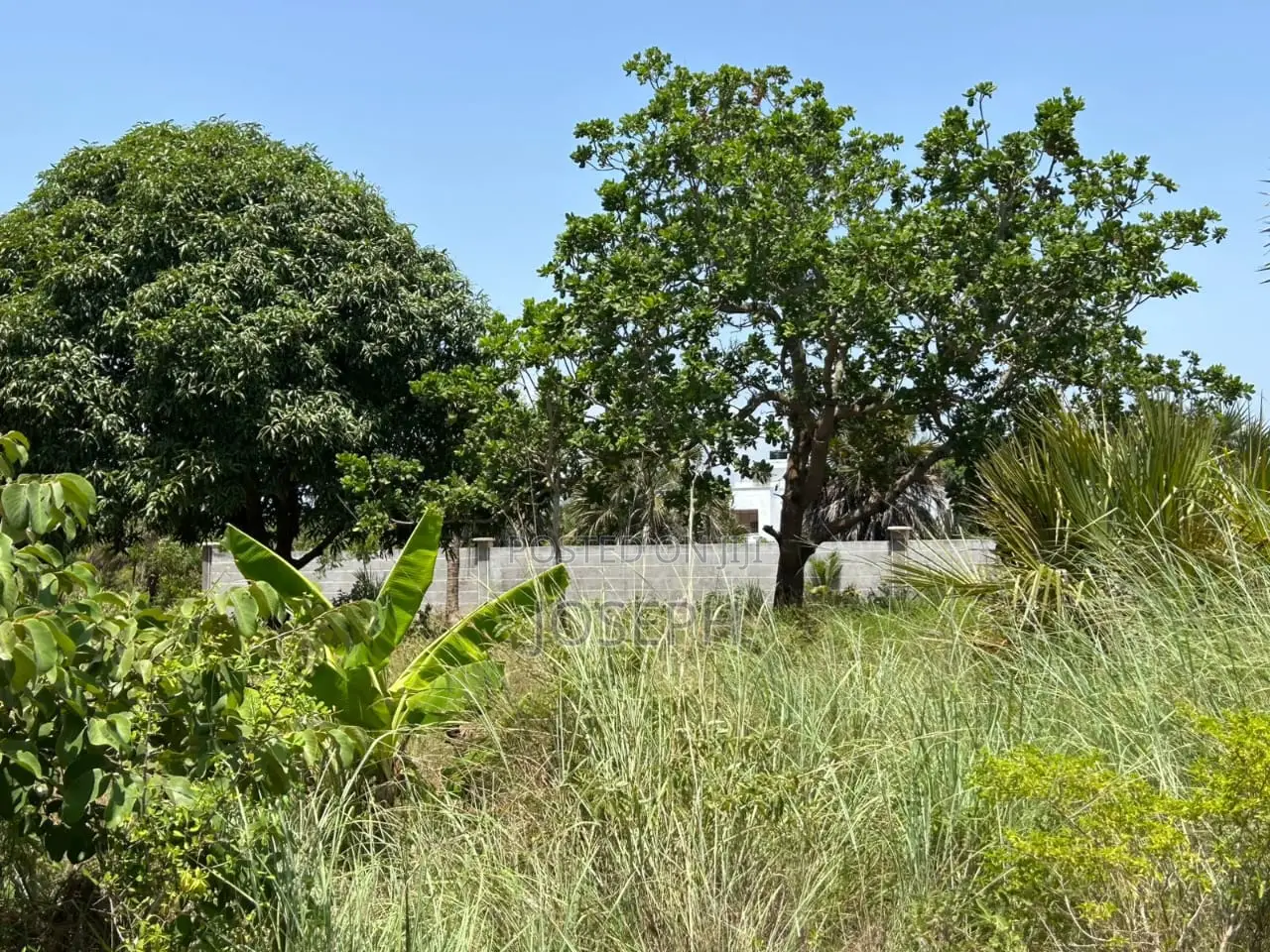 Diani 6.5acres