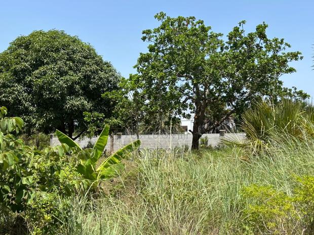 Diani 6.5acres - thumbnail 7