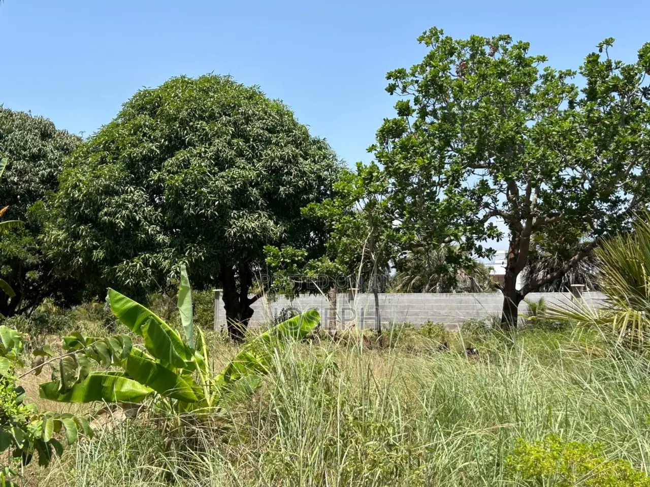 Diani 6.5acres