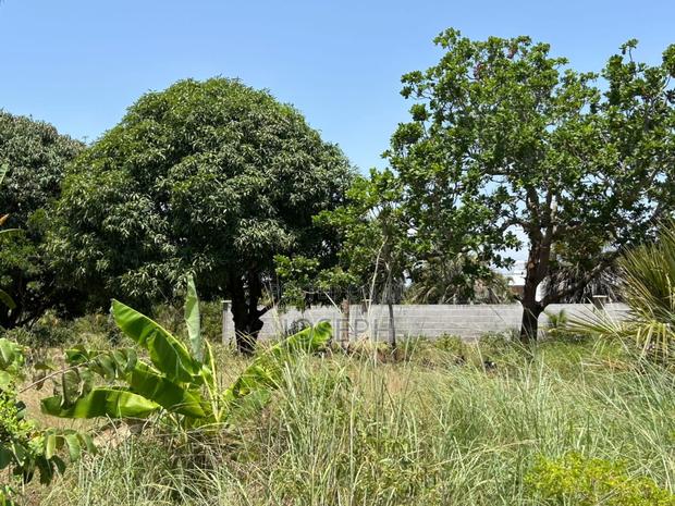 Diani 6.5acres - thumbnail 8