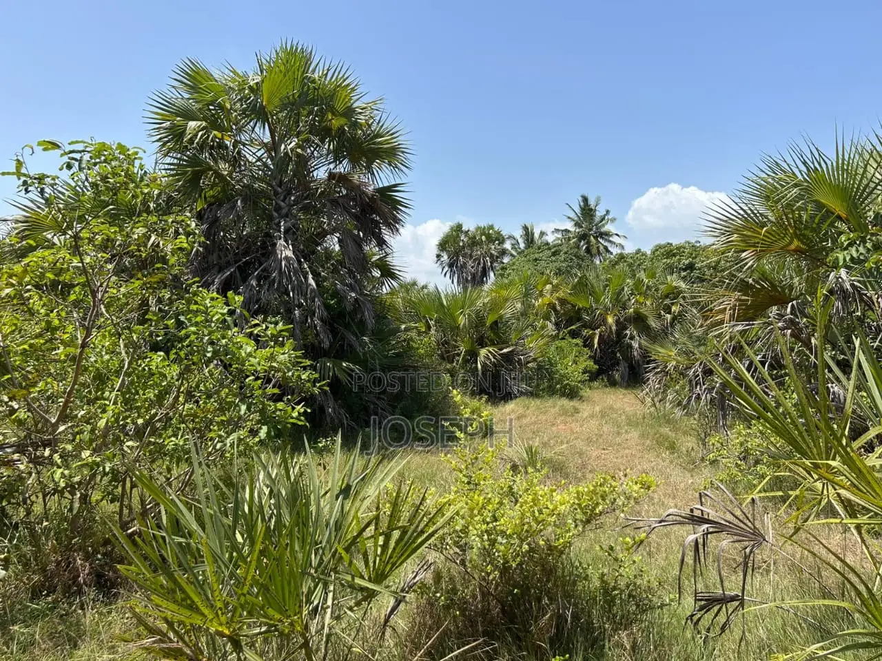 Diani 6.5acres