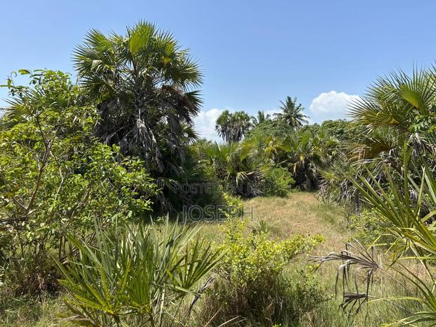Diani 6.5acres - thumbnail 10