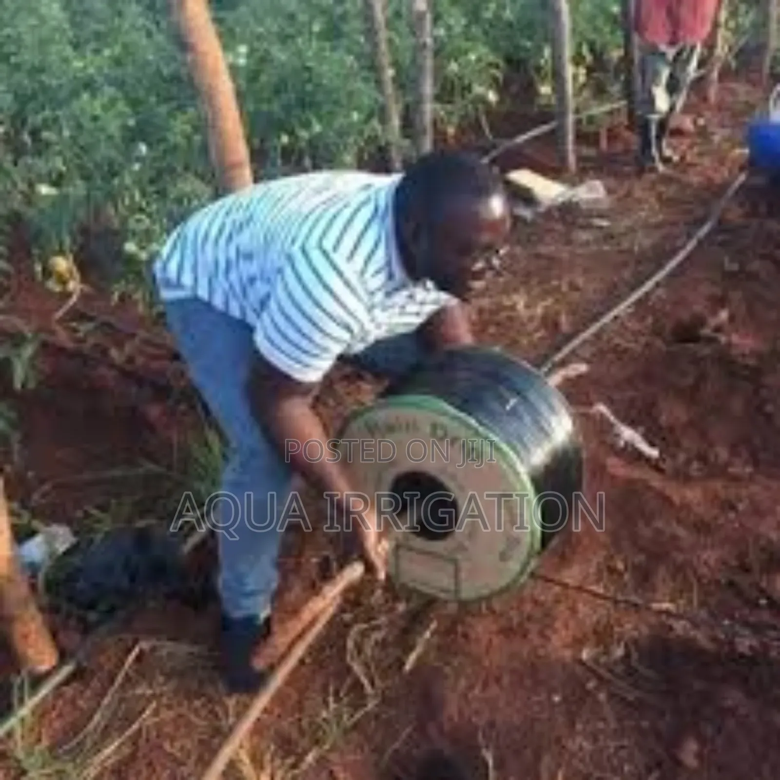 Advanced Irrigation for Modern Farmers – Rain Horse